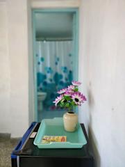 Photos of Hostal Don Jose