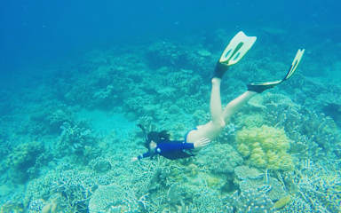 Fotky