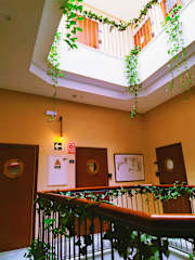 Foto di 