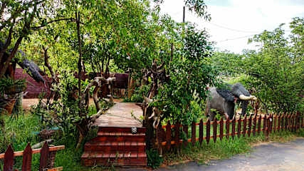 Fotos de Elephant Trail Backpackers