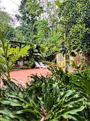 Foto di