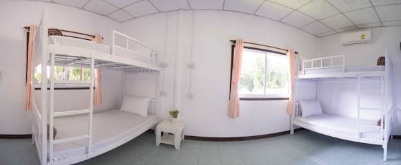 Fotografias de 