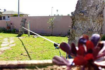 Bilder av