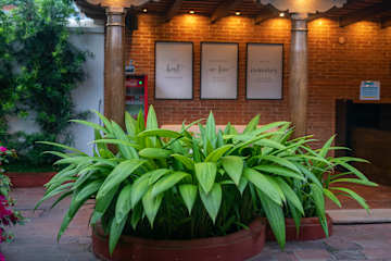 Photos of Barbara's Boutique Hostel