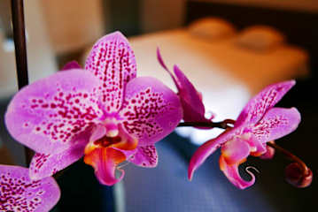 Photos of Hotel de Normandie