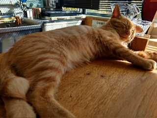Photos of Guesthouse Asahikawa Ride