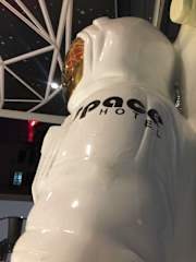 Photos of Space Hotel @ China Town Kuala Lumpur