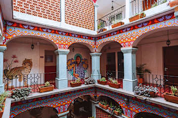 Fotos de Selina Oaxaca
