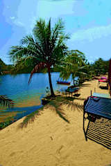 Arcadia Waterpark Hostelの写真