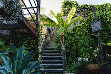 Photos of La Escondida H