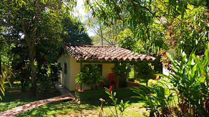 Bilder av 
