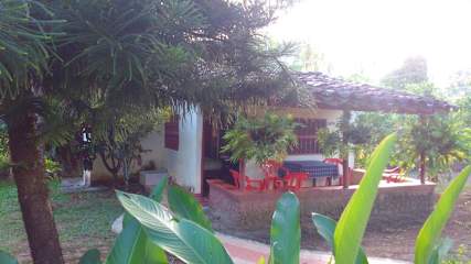 Bilder av 