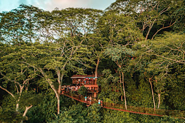 Photos of Treehouse