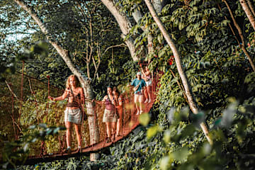 Photos of Treehouse