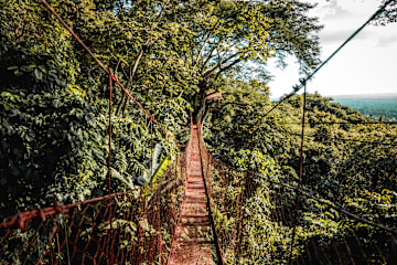 Photos of Treehouse