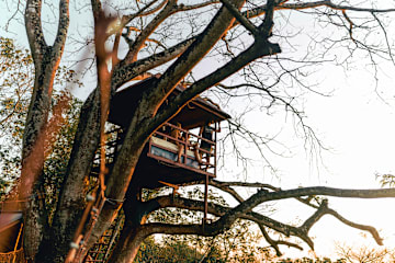 Photos of Treehouse
