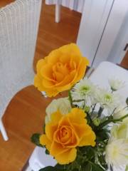 Fotos von