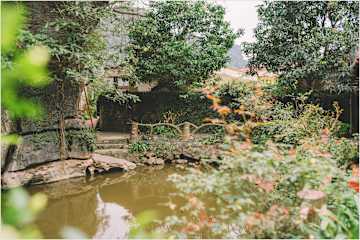 Fotos de