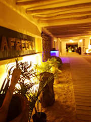 Photos of Afreeka Beach Hostel & Music Bar