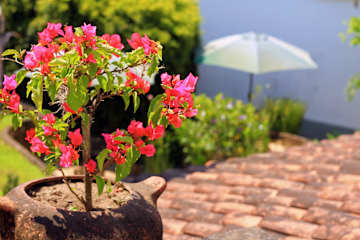Foto di