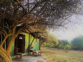 Photos of Yala Yin Yang