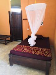 Photos of Yala Yin Yang
