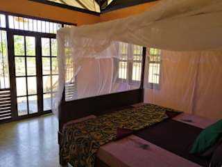 Photos of Yala Yin Yang