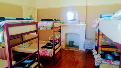 Photos of Knysna Backpackers