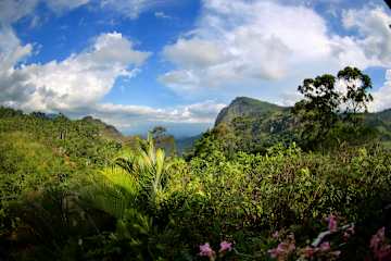 Photos of Tea Garden Holiday Inn