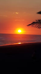 Hostal Mi Casa en la Playaの写真