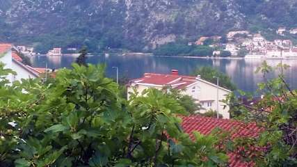 Photos of Djura Guesthouse