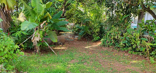Goapalms Homestay (Palm View)の写真