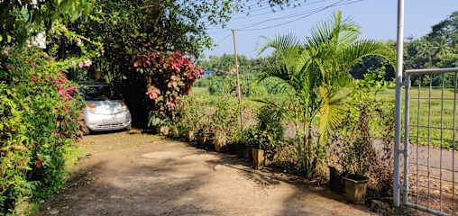 Goapalms Homestay (Palm View)の写真