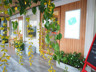 Photos of Nornnuea @ Inthanon