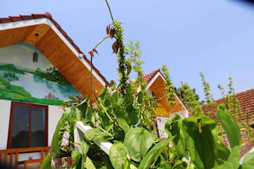 Phong Nha Friendly Homeの写真
