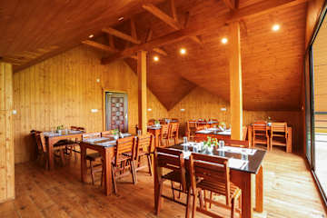 Bilder av