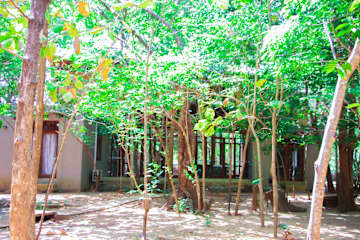 Photos of Fresco Lion Villa Hostel