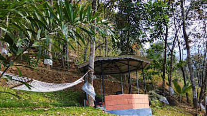 Photos of MistyWindValley