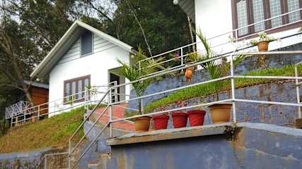 Photos of MistyWindValley