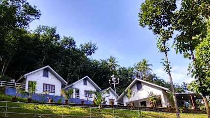 Photos of MistyWindValley
