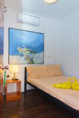 照片