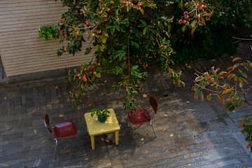 Photos of Pava Hostel
