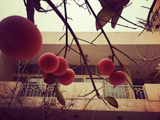 Photos of Pava Hostel