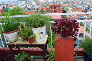 Photos of 32 Peace Home