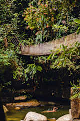 Photos of Ritmo Del Río
