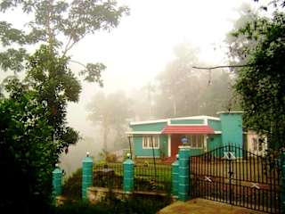 Photos of Hostel Flutterby