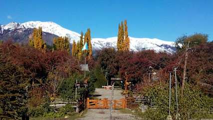 Photos of Los Coihues Camping & Hostel