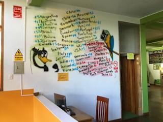 Photos of Tambopata Hostel