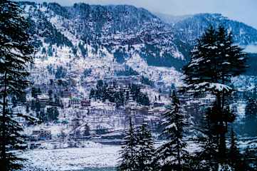 Photos of Alt Life - Manali