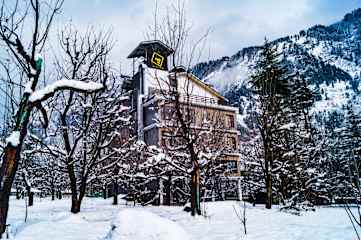Photos of Alt Life - Manali